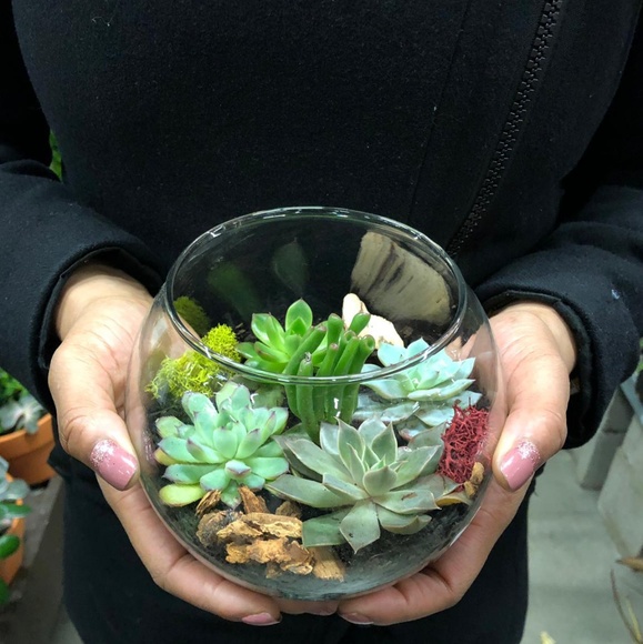 Meet your Posher, Maka - Picture 4 of 4